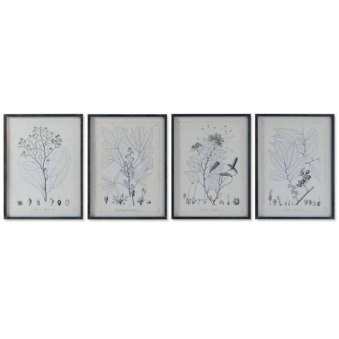 Картина DKD Home Decor Модерен Ботанически растения 45 x 2,5 x 60 cm (4 броя)