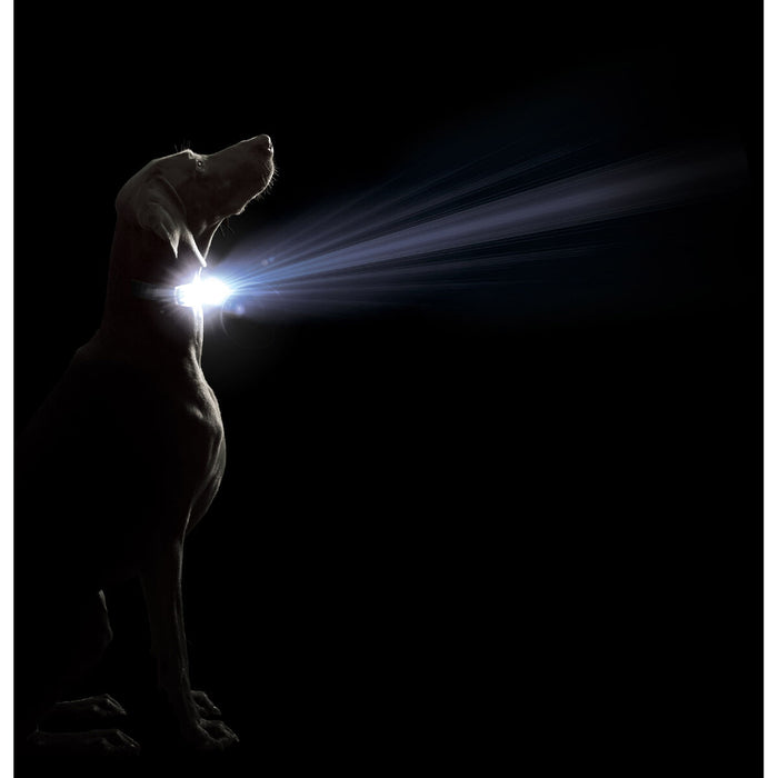 Кучешки Нашийник Dog Gone Smart Червен L Светлина
