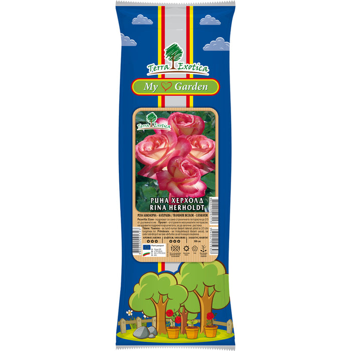 КОРЕН РОЗА КАТЕРЛИВА EKZOTIKA