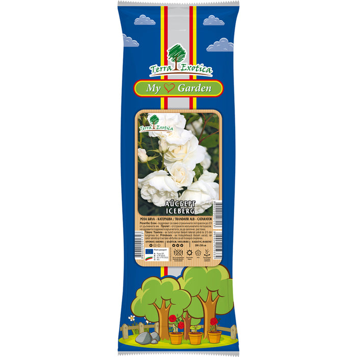 КОРЕН РОЗА КАТЕРЛИВА EKZOTIKA