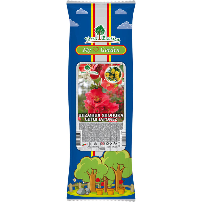 КОРЕН ЦИДОНИЯ ЯПОНИКА EKZOTIKA