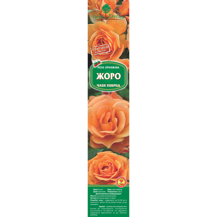 КОРЕН РОЗИ EKZOTIKA