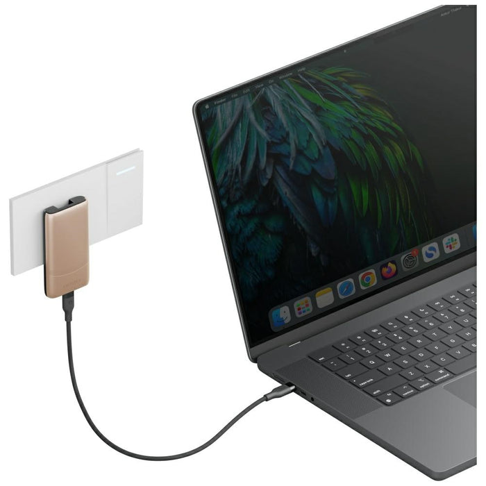 Зарядно Energea TravelWorld Edge 65W PD/PPS/QC3.0 (US/UK/EU), златно