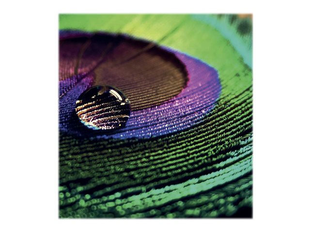 EPSON Production Photo Paper Semigloss 200 36 x 30m