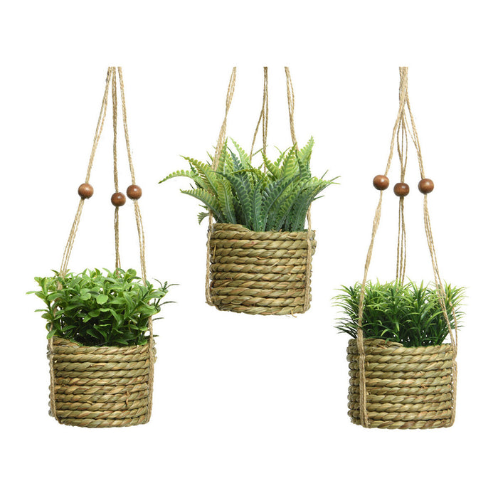 Декоративно Растение Everlands 8 x 12 cm висулка Въже Зелен PVC