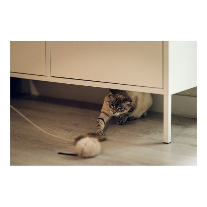 котешка играчка Gloria Renzo Мишка