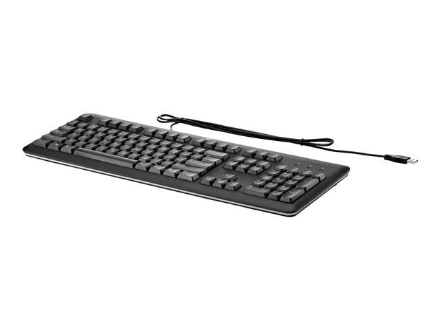 HP QY776AA HP USB стандартна клавиатура Черна САЩ