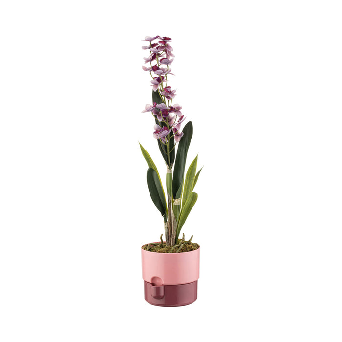 ПЛАСТМАСОВА САКСИЯ Ф13CM HD DORA