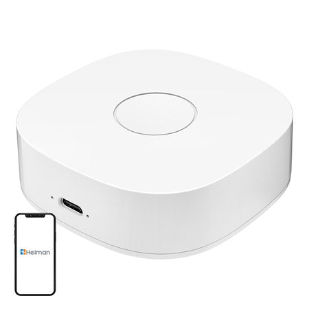 Умен дом WS2GW-R WiFi