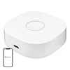 Умен дом WS2GW-R WiFi
