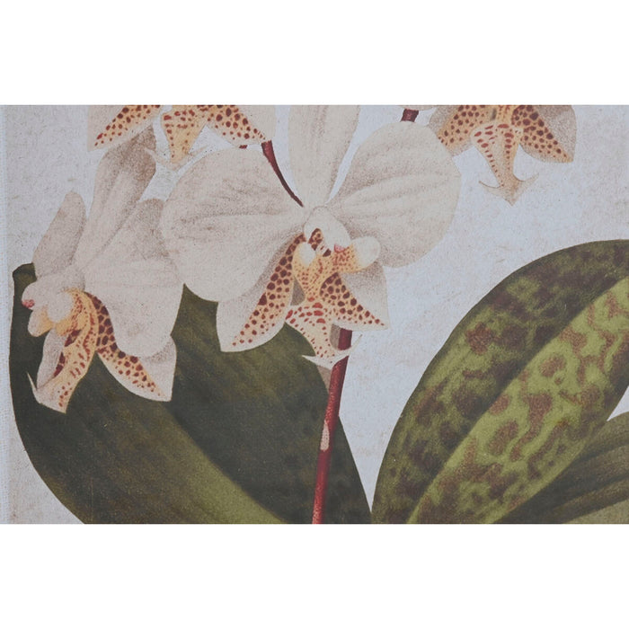 Картина Home ESPRIT Кристал Pатан Ела 50 x 2 x 70 cm 50 x 2,5 x 70 cm