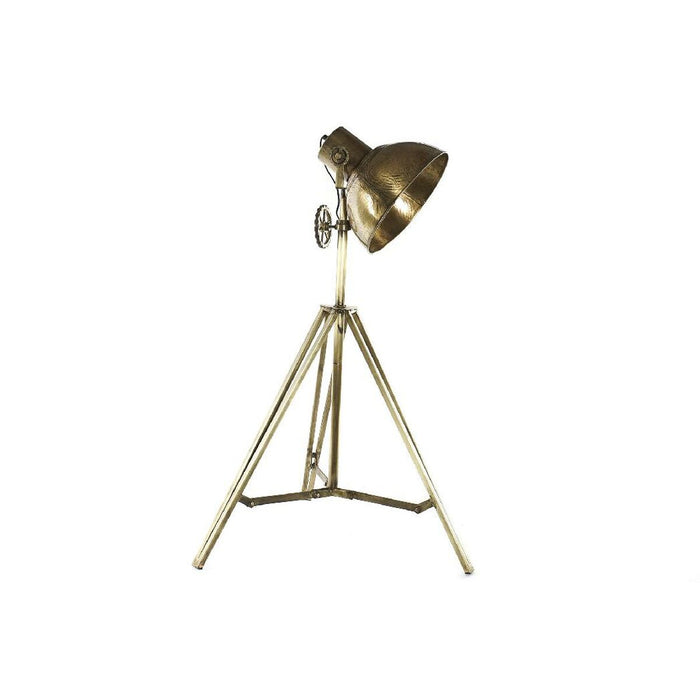 Лампион Home ESPRIT Златен 25 W 30 x 28 x 142 cm