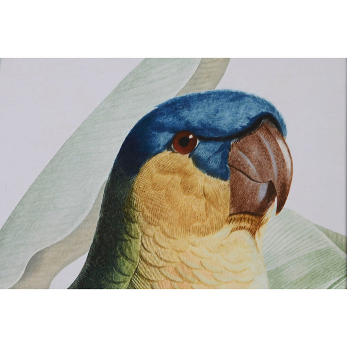 Картина Home ESPRIT Кристал Ела 50 x 2,5 x 70 cm