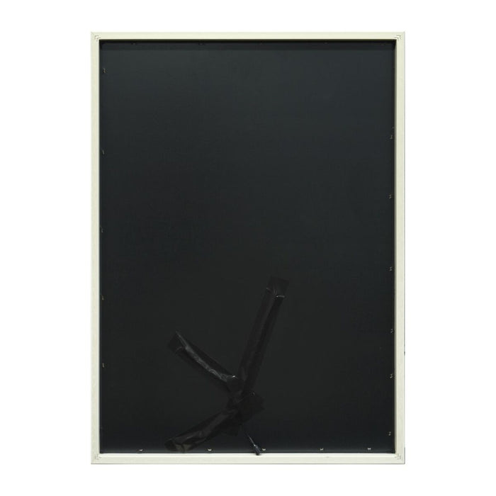 Картина Home ESPRIT Модерен Животни 53 X 3,7 X 73 CM (2 броя)