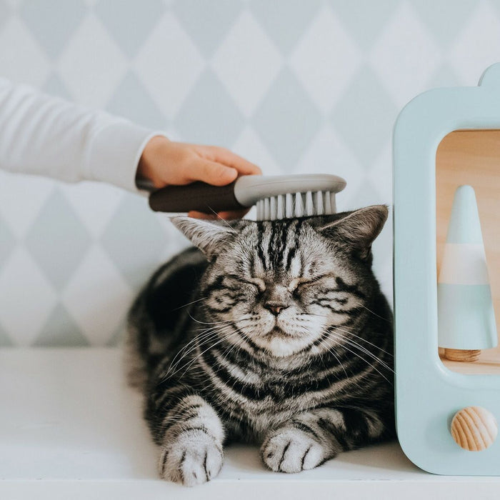 Четка за куче Hunter Extra Soft