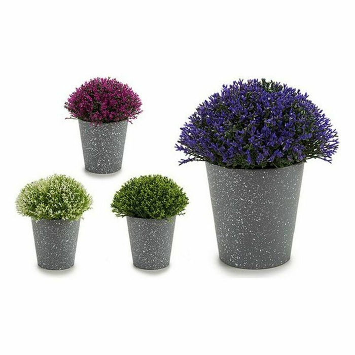 Декоративно Растение Ibergarden A18124-91 A18124-91 Пластмаса 14 x 15 x 14 cm 14 x 16 x 14 cm (12 броя)
