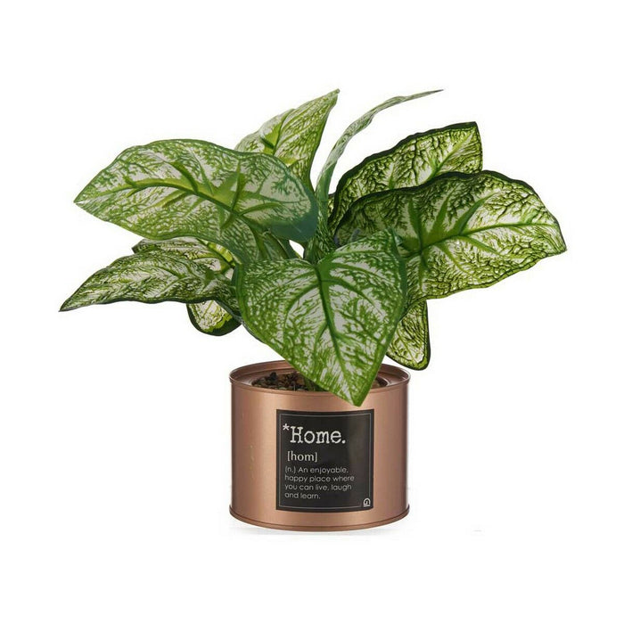 Декоративно Растение Ibergarden HY2-90 Home Метал Пластмаса кенче 26 x 26 x 26 cm Мед (6 броя)