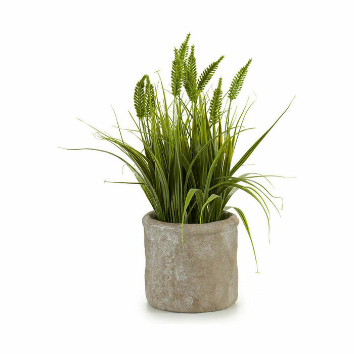 Декоративно Растение Ibergarden XD171059 XD171059 Пластмаса Щип 12 x 30 x 12 cm (8 броя)