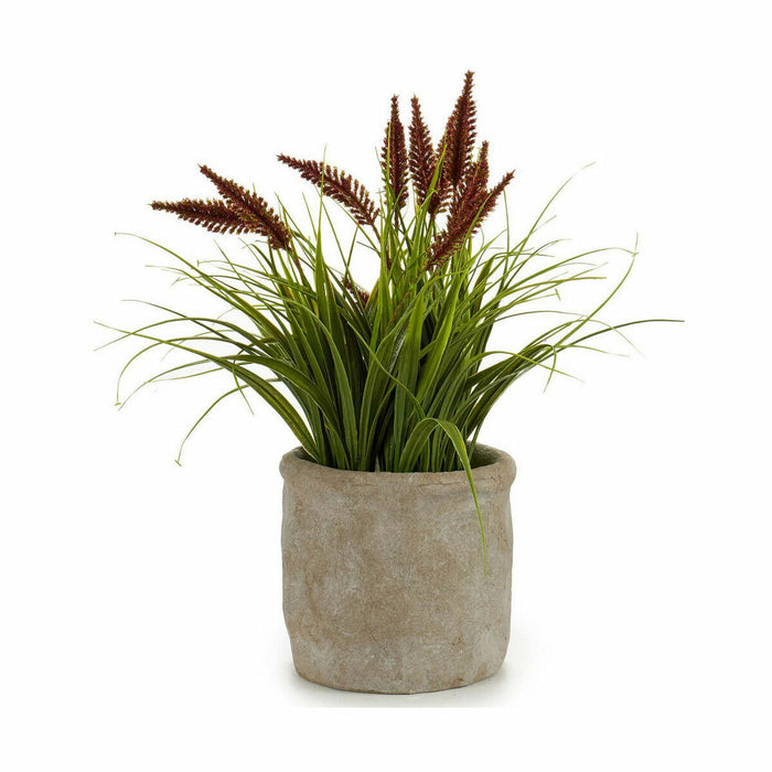 Декоративно Растение Ibergarden XD171059 XD171059 Пластмаса Щип 12 x 30 x 12 cm (8 броя)
