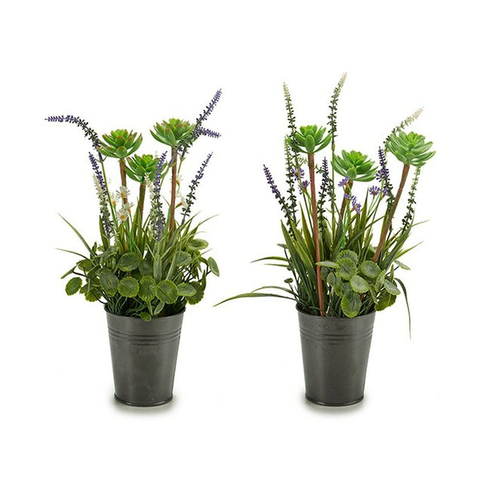 Декоративно Растение Ibergarden XD16-818 XD16-818 Метал Пластмаса Лавандула 13 x 40 x 13 cm (12 броя)