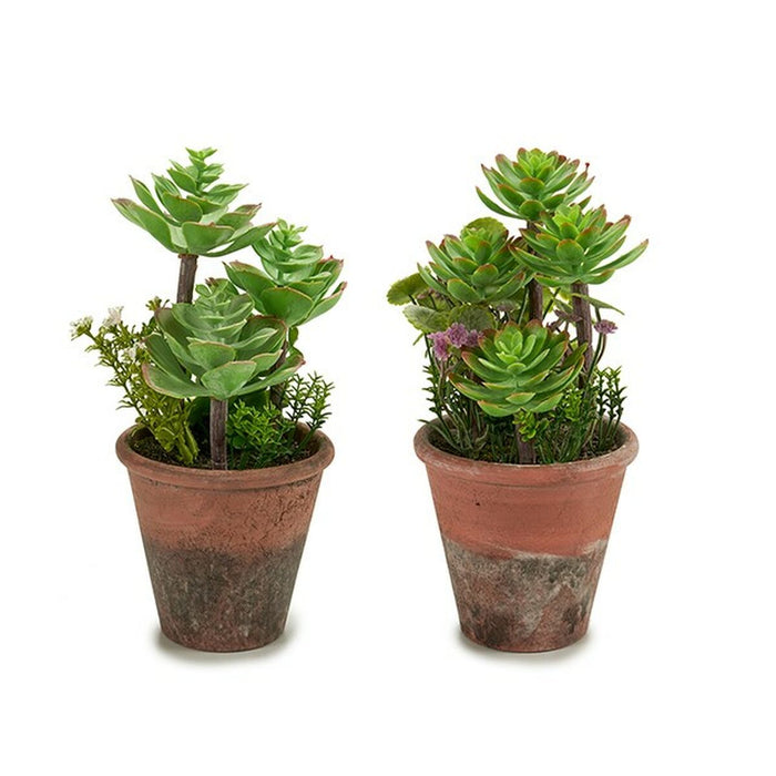 Декоративно Растение Ibergarden XD16-849 XD16-849 Пластмаса Сочен 16 x 23 x 16 cm (12 броя)