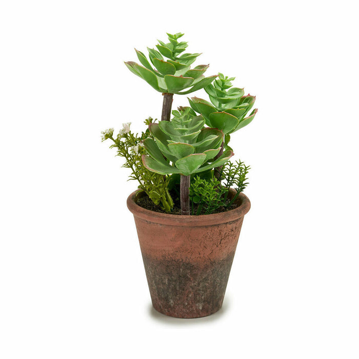 Декоративно Растение Ibergarden XD16-849 XD16-849 Пластмаса Сочен 16 x 23 x 16 cm (12 броя)