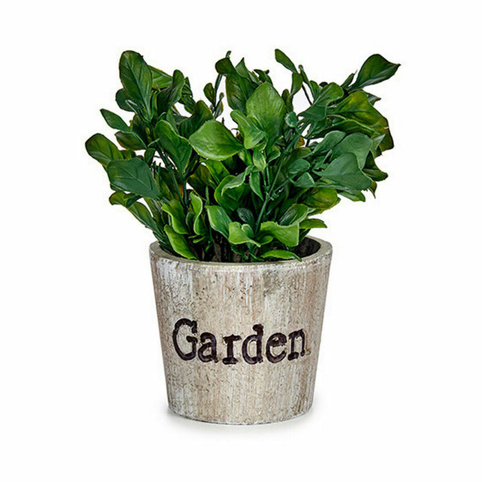 Декоративно Растение Ibergarden XD16-710 XD16-710 Пластмаса 16 x 22 x 16 cm (12 броя)