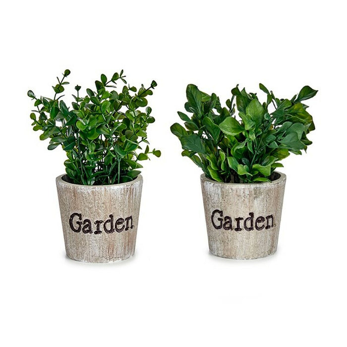 Декоративно Растение Ibergarden XD16-710 XD16-710 Пластмаса 16 x 22 x 16 cm (12 броя)