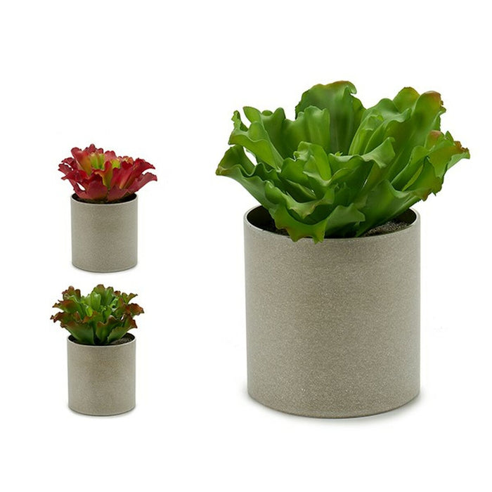Декоративно Растение Ibergarden YC181588 YC181588 20 x 25 x 20 cm (6 броя)