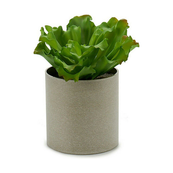 Декоративно Растение Ibergarden YC181588 YC181588 20 x 25 x 20 cm (6 броя)