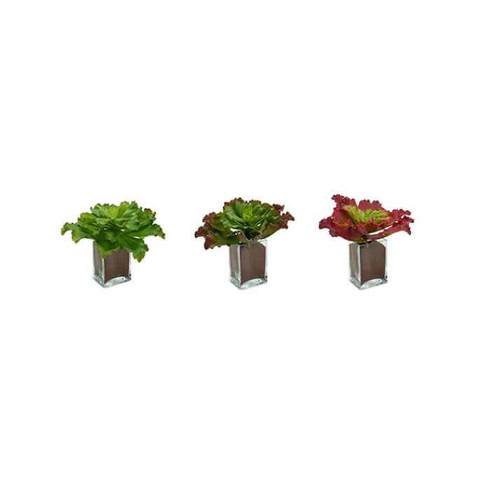 Декоративно Растение Ibergarden YD180208 YD180208 Пластмаса Листи Широк 31 x 24 x 31 cm Двуцветен (6 броя)
