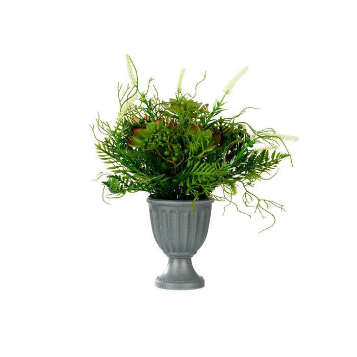 Декоративно Растение Ibergarden XD19-1369 XD19-1369 Пластмаса Чаша 21 x 30 x 21 cm 34 x 39,5 x 34 cm (6 броя)