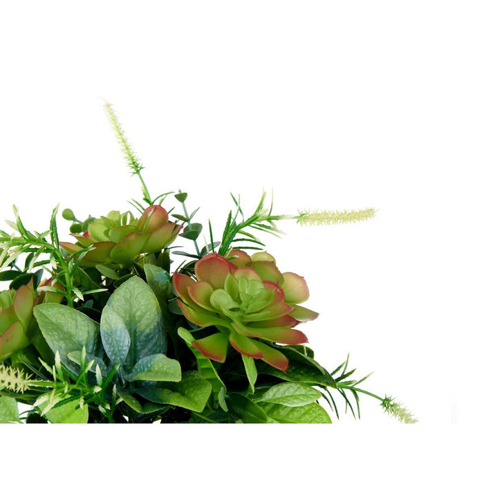 Декоративно Растение Ibergarden XD19-1370 XD19-1370 Пластмаса Чаша 25 x 36 x 25 cm (4 броя)