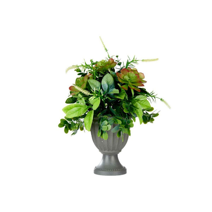 Декоративно Растение Ibergarden XD19-1370 XD19-1370 Пластмаса Чаша 25 x 36 x 25 cm (4 броя)