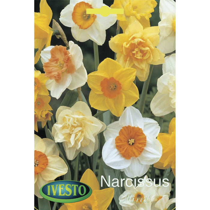 ЛУКОВИЦИ НАРЦИС MIXED IVESTO