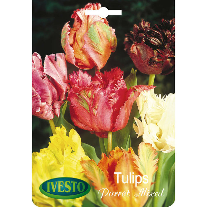 ЛУКОВИЦИ ЛАЛЕ PARROT MIXED IVESTO