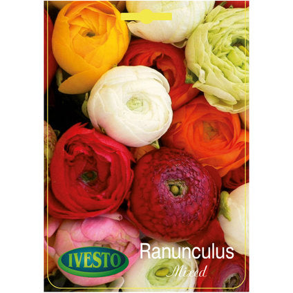 ЛУКОВИЦИ РАНУНКУЛУС PEONY FLOWERING MIX IVESTO