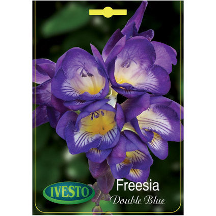 ЛУКОВИЦИ ФРЕЗИЯ DOUBLE FLOWERING BLUE IVESTO
