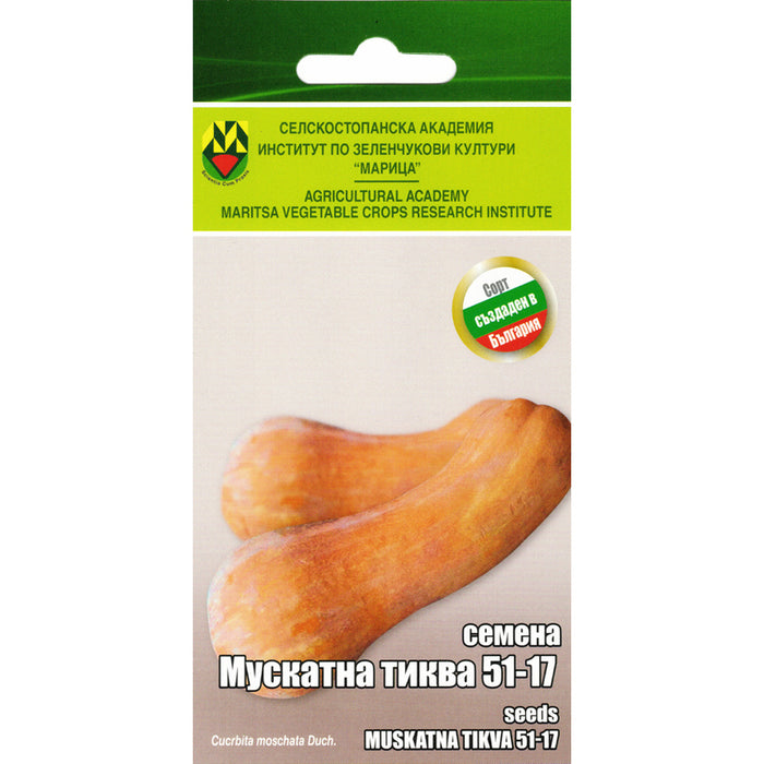 СЕМЕНА ТИКВА МУСКАТ ИЗК МАРИЦА
