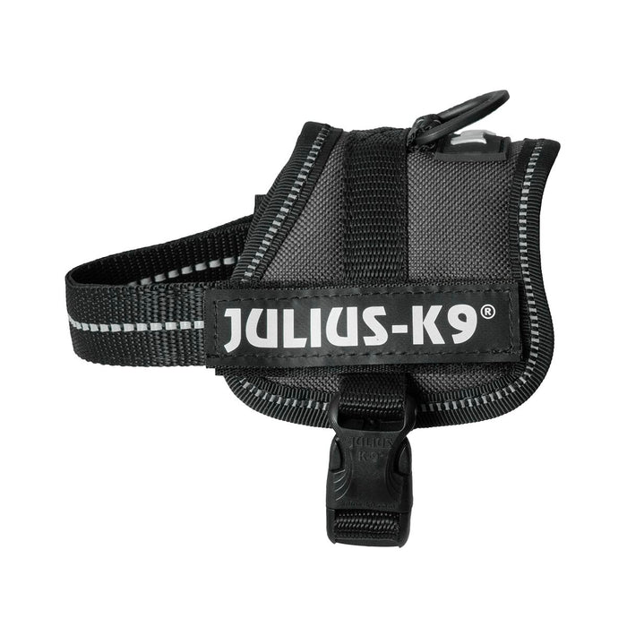 Каишка за Куче Julius K9 Power Черен 1 Baby 1 (XS)