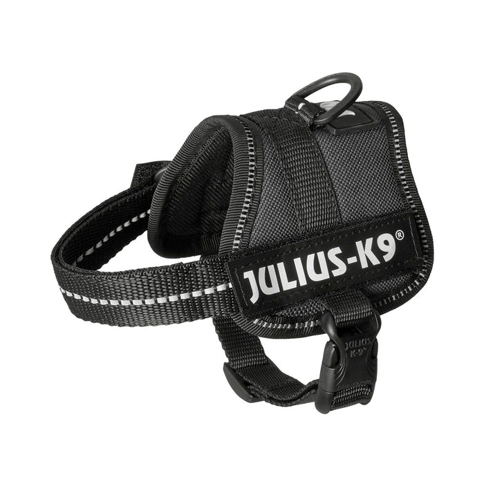 Каишка за Куче Julius K9 Power Черен 1 Baby 1 (XS)