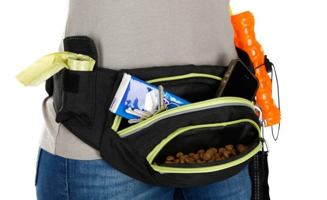 KERBL Active Training Belt с калъф и халка за закачане на каишка - аксесоари за обучение с куче