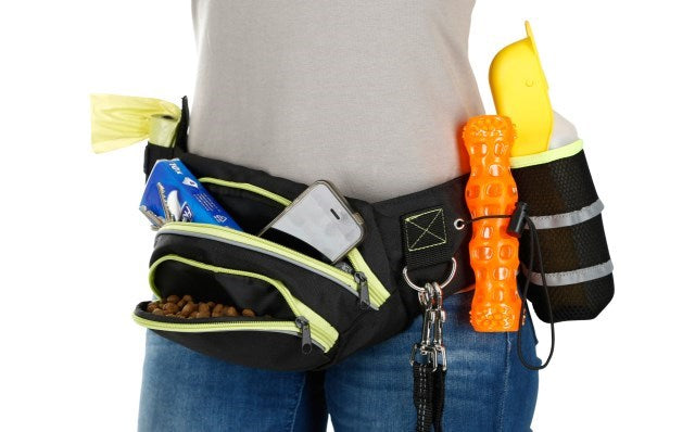 KERBL Active Training Belt с калъф и халка за закачане на каишка - аксесоари за обучение с куче