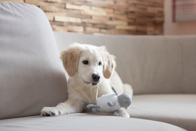 KERBL Puppy toy - Играчка за куче - 16см