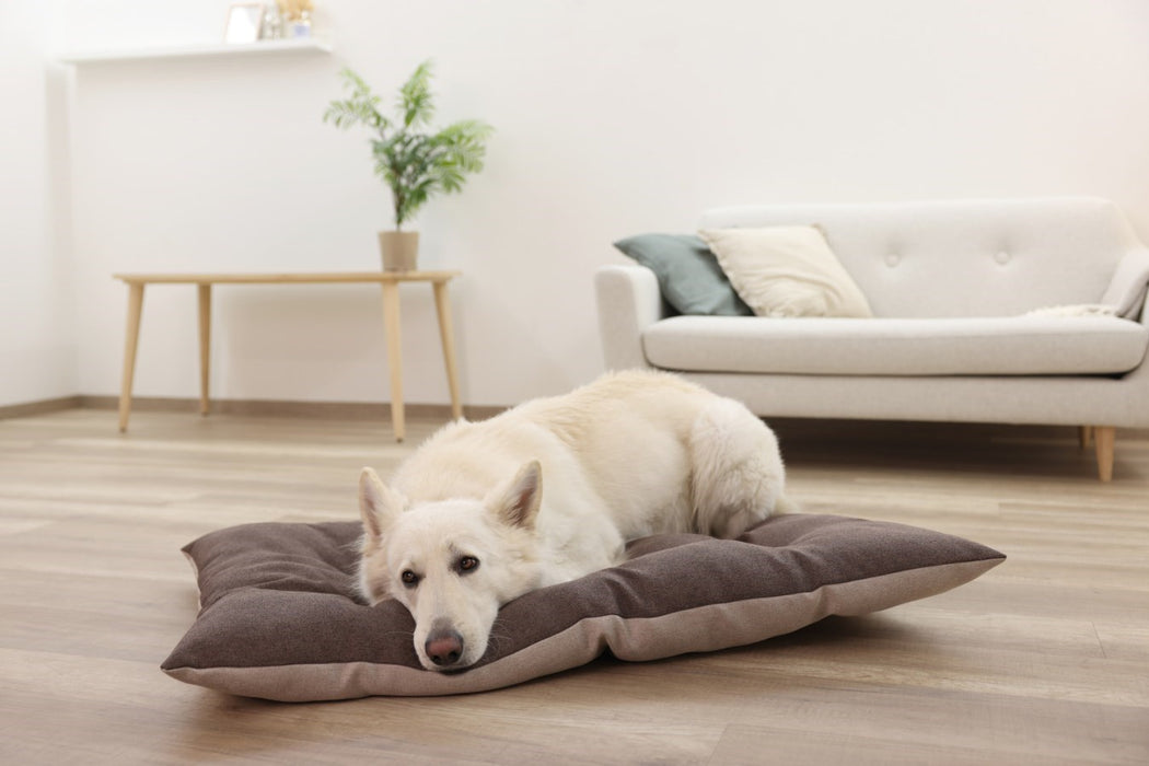 KERBL Ely Brown-Beige Lounge Cushion - Легло за домашни любимци - 115 x 75 x 11 cm