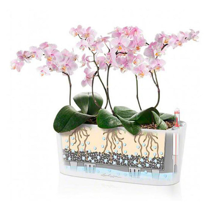 КАШПА 30X11CM С НАПОИТЕЛНА СИСТЕМА LECHUZA DELTA