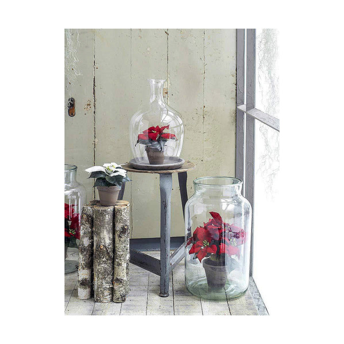 Декоративно Растение Mica Decorations Червен PVC