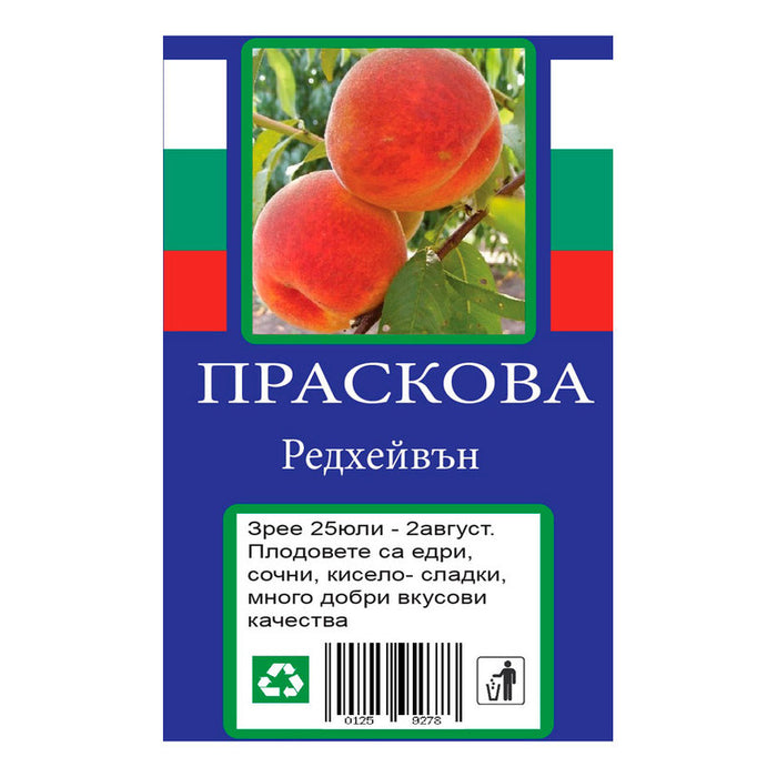 ПРАСКОВА С ПАКЕТИРАН КОРЕН