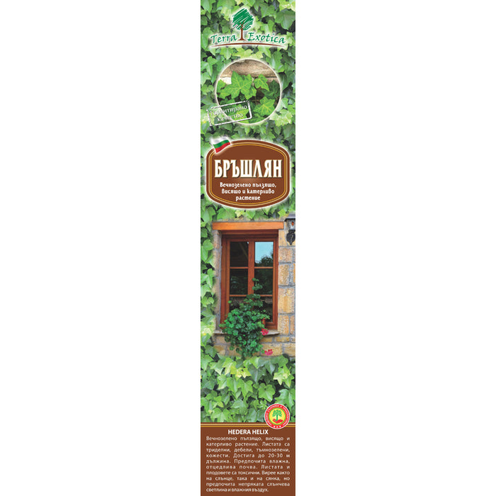 КОРЕН БРЪШЛЯН