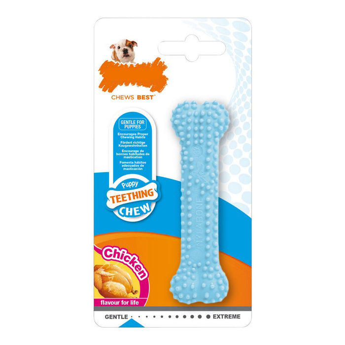 Гризалка за кучета Nylabone Син Пиле Blue Термопластичен Размер XS Кученца